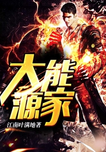大能源家