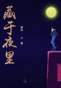 藏于夜里