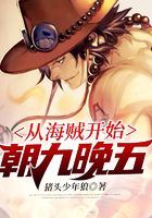 从海贼开始朝九晚五