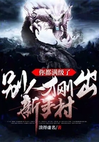 你都滿級了，別人才剛出新手村在線閱讀