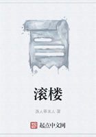 滚楼在线阅读