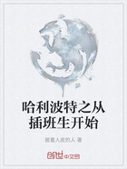 哈利波特之从插班生开始在线阅读