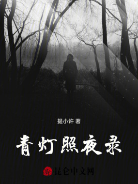 青灯照夜录在线阅读