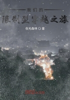 我们的限制型穿越之旅在线阅读