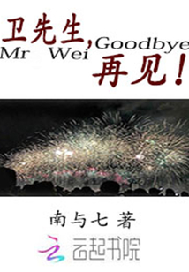 衛(wèi)先生，再見！