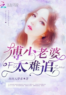 傅少老婆太難追