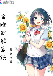 金牌調(diào)解系統(tǒng)