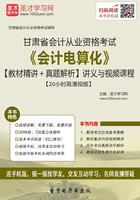 甘肃省会计从业资格考试《会计电算化》【教材精讲＋真题解析】讲义与视频课程【20小时高清视频】在线阅读