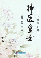 神医皇女之荼靡花开