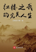 紅樓之我的完美人生在線閱讀