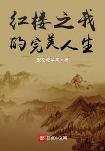 紅樓之我的完美人生