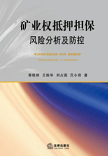 礦業(yè)權(quán)抵押擔(dān)保風(fēng)險(xiǎn)分析及防控