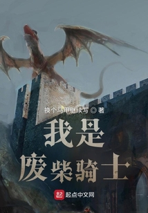 我是廢柴騎士
