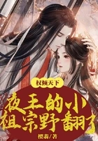 权倾天下:夜王的小祖宗野翻了在线阅读