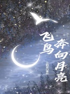 飛鳥奔向月光在線閱讀