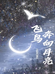 飛鳥奔向月光