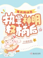 当满级幼崽执掌神明权柄后