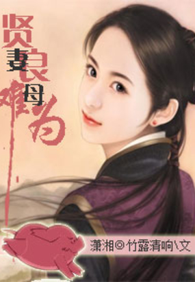贤妻良母难为在线阅读