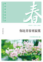 “我的青春我的梦”全国中学生校园美文精品集萃丛书:你比青春更寂寞在线阅读