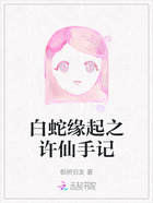 白蛇缘起之许仙手记在线阅读