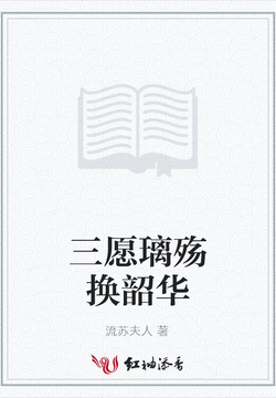 三愿璃殇换韶华 封面