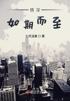 情深如期而至