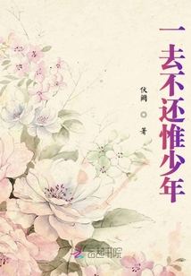 一去不還惟少年