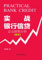 实战银行信贷:企业财务分析(升级版)在线阅读