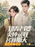 重回知青老婆卖掉录取名额那天,我不陪她玩了在线阅读