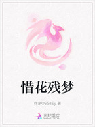 惜花残梦在线阅读