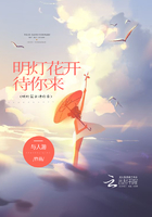 明灯花开待你来在线阅读