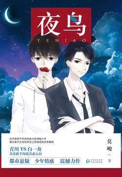 夜鸟 封面