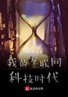 我的互聯網科技時代在線閱讀