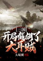 三国：开局截胡了大耳贼在线阅读