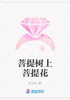 菩提樹上菩提花在線閱讀