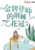 金牌律师的荆棘花冠