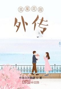 流星花園，外傳