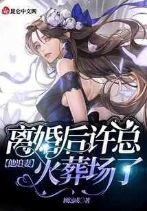 離婚后許總他追妻火葬場了