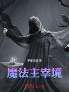 魔法主宰境在线阅读