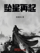 坠星再起在线阅读