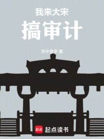 我來大宋搞審計