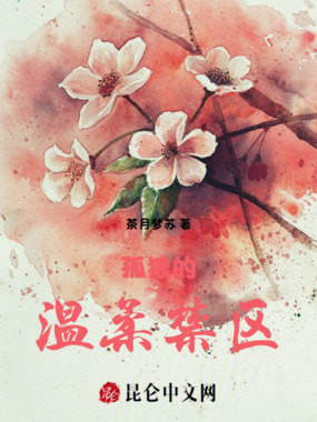 孤狼的温柔禁区在线阅读