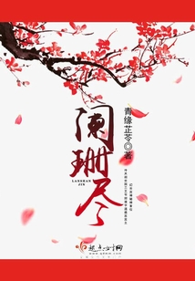 闌珊盡
