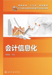 會計信息化