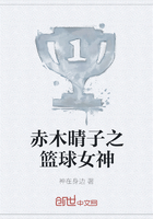 赤木晴子之籃球女神在線閱讀