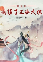 重生后我拐了正派大佬在線閱讀