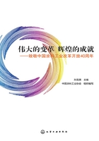 伟大的变革 辉煌的成就：致敬中国涂料工业改革开放40周年在线阅读