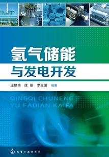 氫氣儲(chǔ)能與發(fā)電開發(fā)