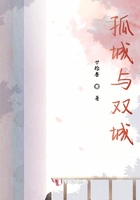 孤城與雙城在線閱讀