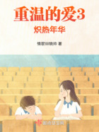 重溫的愛3熾熱年華在線閱讀
